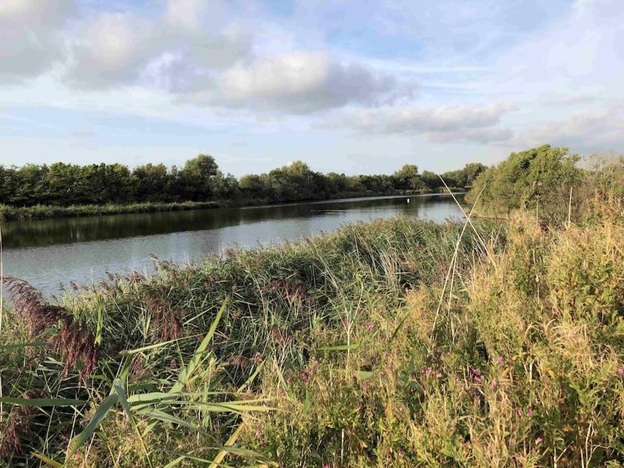 Bazien Luxe Kamer Bij Strand En Kreek Natuur En Veel Faciliteiten Westkapelle Exterior foto