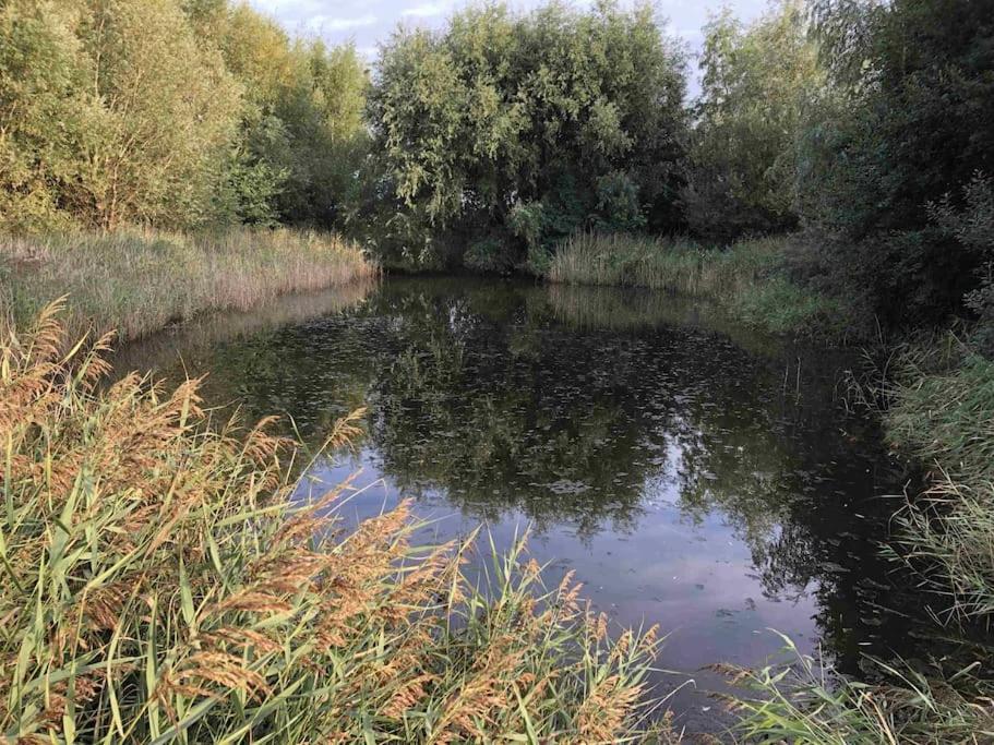 Bazien Luxe Kamer Bij Strand En Kreek Natuur En Veel Faciliteiten Westkapelle Exterior foto