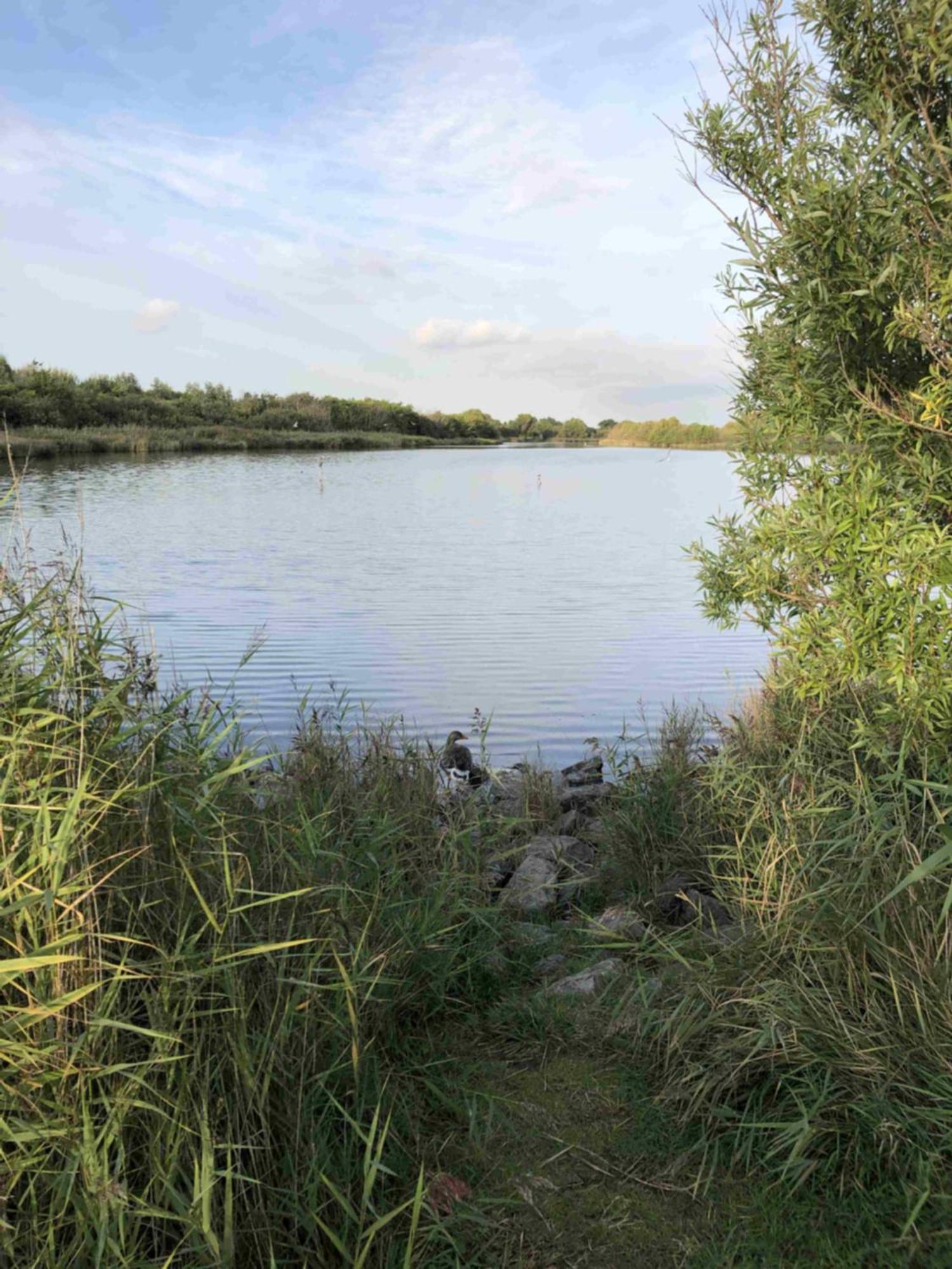 Bazien Luxe Kamer Bij Strand En Kreek Natuur En Veel Faciliteiten Westkapelle Exterior foto